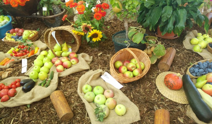 26. fotografia fotogalérie Deň obce 09.09.2017 - foto