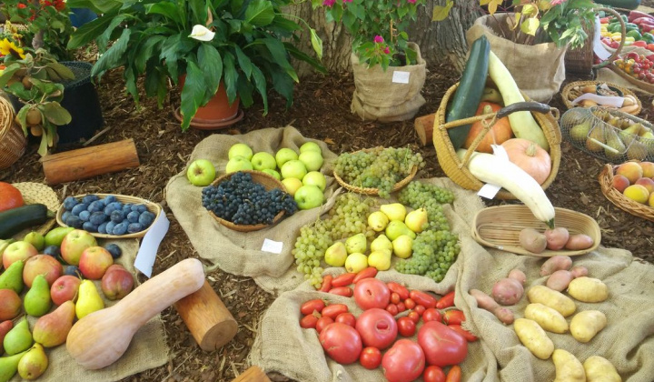 27. fotografia fotogalérie Deň obce 09.09.2017 - foto