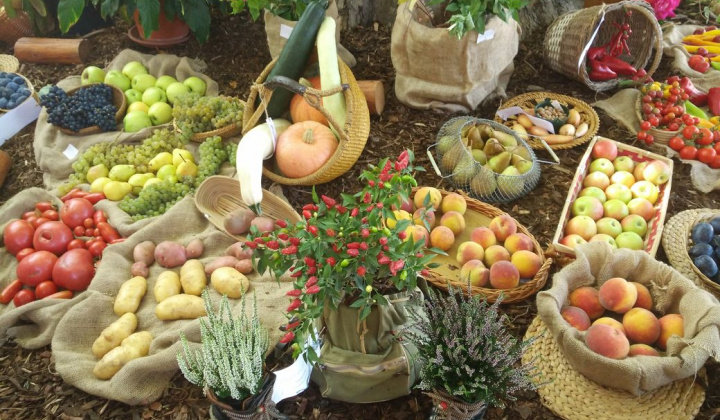 28. fotografia fotogalérie Deň obce 09.09.2017 - foto