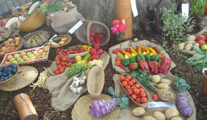 29. fotografia fotogalérie Deň obce 09.09.2017 - foto