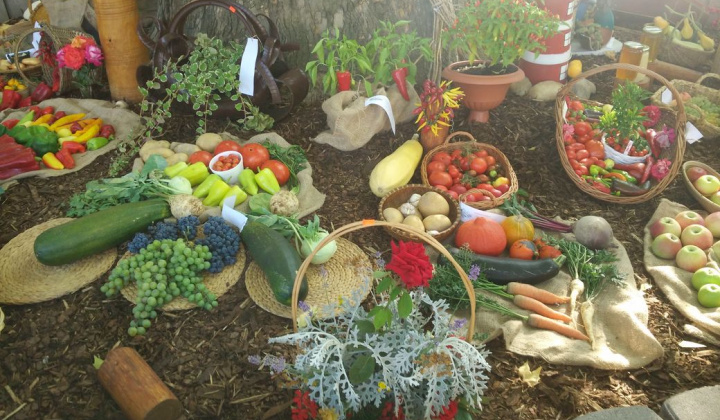 30. fotografia fotogalérie Deň obce 09.09.2017 - foto