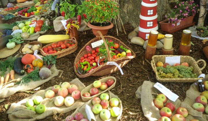 31. fotografia fotogalérie Deň obce 09.09.2017 - foto