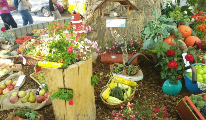 32. fotografia fotogalérie Deň obce 09.09.2017 - foto