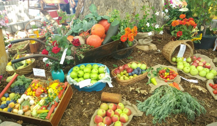 33. fotografia fotogalérie Deň obce 09.09.2017 - foto