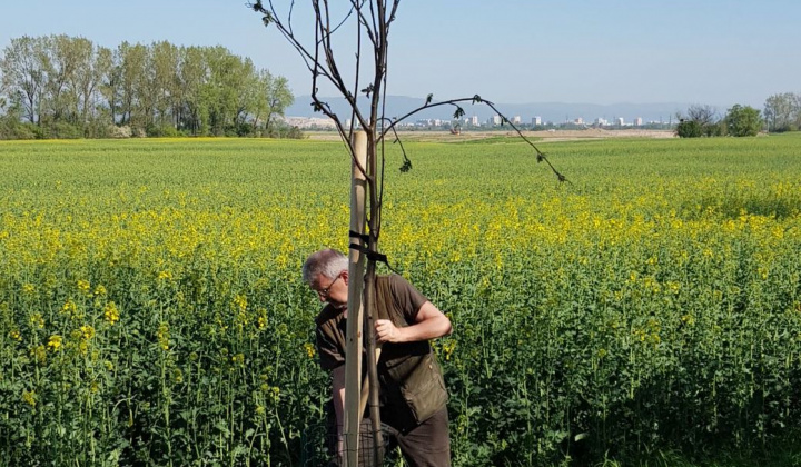 17. fotografia fotogalérie Deň zeme 21.04.2018 - foto