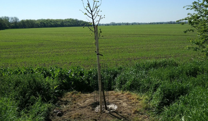 25. fotografia fotogalérie Deň zeme 21.04.2018 - foto