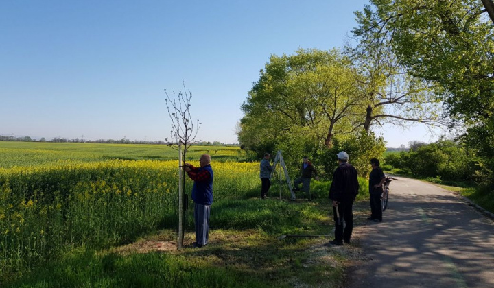 32. fotografia fotogalérie Deň zeme 21.04.2018 - foto