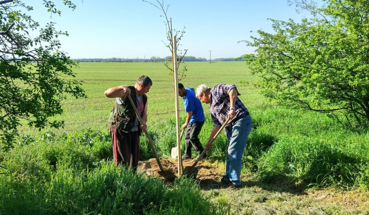 35. fotografia fotogalérie Deň zeme 21.04.2018 - foto