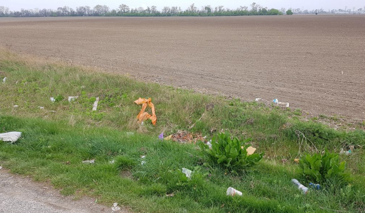 15. fotografia fotogalérie Deň zeme 13.04.2019 - foto