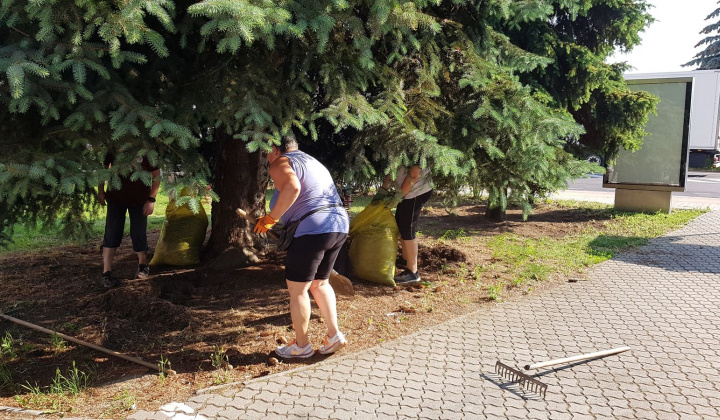 28. fotografia fotogalérie Revitalizácia centra oddychu, hier a kultúry - foto