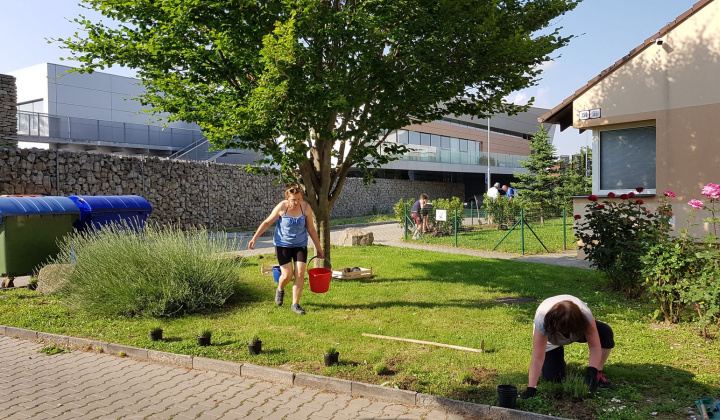 29. fotografia fotogalérie Revitalizácia centra oddychu, hier a kultúry - foto