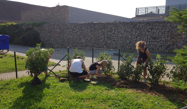 30. fotografia fotogalérie Revitalizácia centra oddychu, hier a kultúry - foto