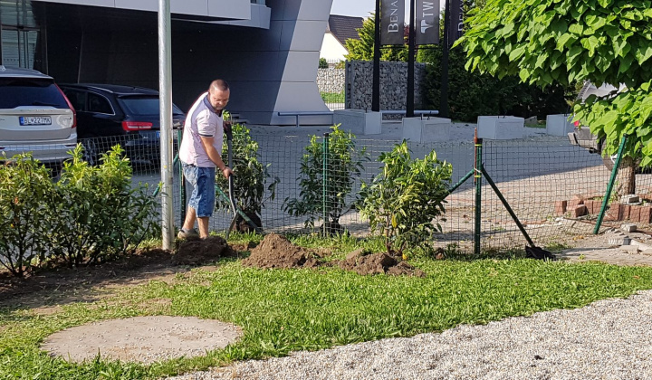 31. fotografia fotogalérie Revitalizácia centra oddychu, hier a kultúry - foto