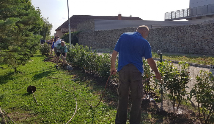 33. fotografia fotogalérie Revitalizácia centra oddychu, hier a kultúry - foto