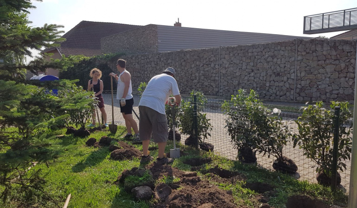 34. fotografia fotogalérie Revitalizácia centra oddychu, hier a kultúry - foto