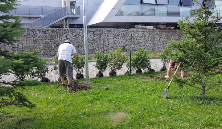 35. fotografia fotogalérie Revitalizácia centra oddychu, hier a kultúry - foto