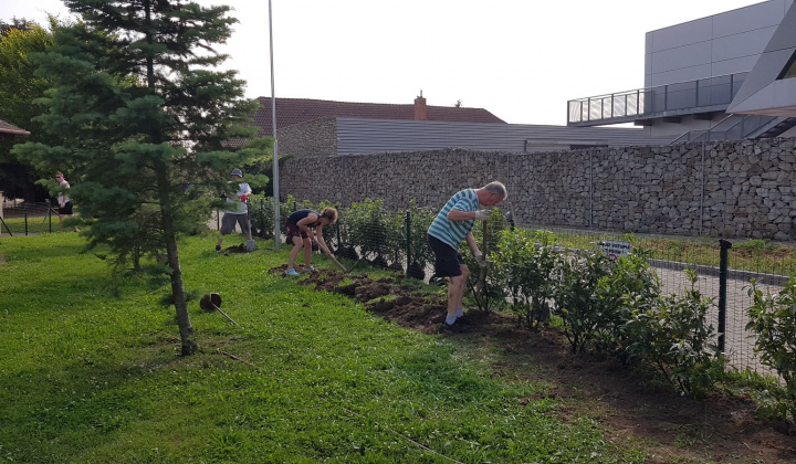 36. fotografia fotogalérie Revitalizácia centra oddychu, hier a kultúry - foto