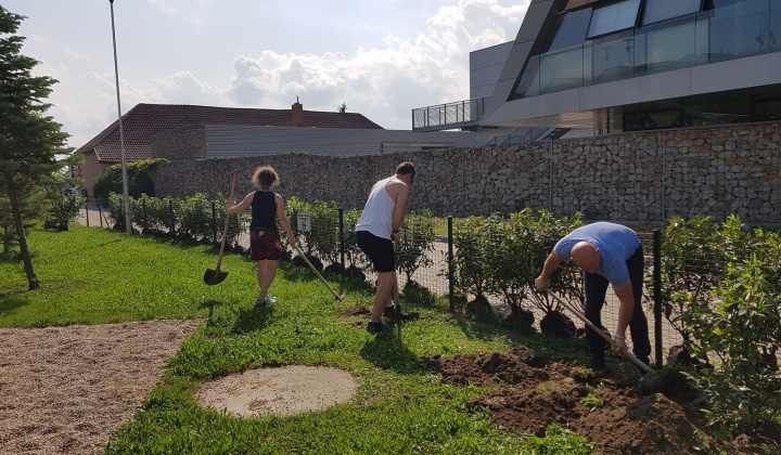 37. fotografia fotogalérie Revitalizácia centra oddychu, hier a kultúry - foto