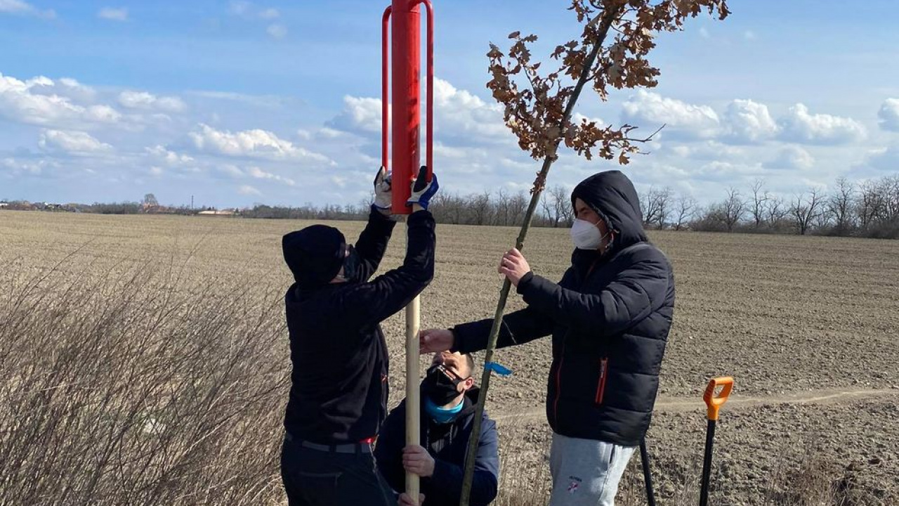 Fotografia fotogalérie Sadenie stromov (18.03.2021) - foto