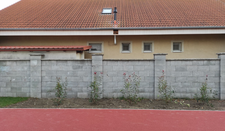 1. fotografia fotogalérie Realizácia zelených plôch v areáli ZŠ Rovinka - foto