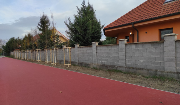 2. fotografia fotogalérie Realizácia zelených plôch v areáli ZŠ Rovinka - foto