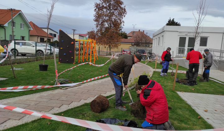 5. fotografia fotogalérie Realizácia zelených plôch v areáli ZŠ Rovinka - foto