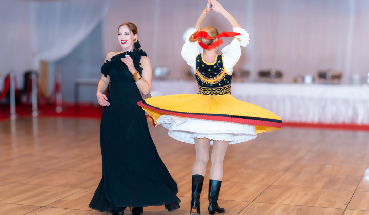 28. fotografia fotogalérie 16. reprezentačný ples obce