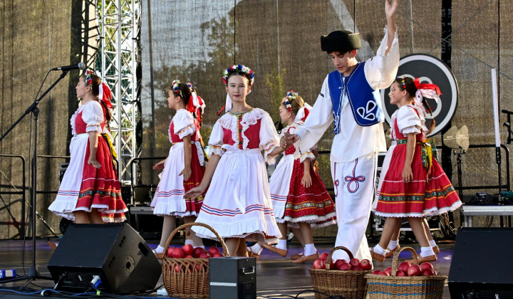 33. fotografia fotogalérie Deň obce Rovinka 2025