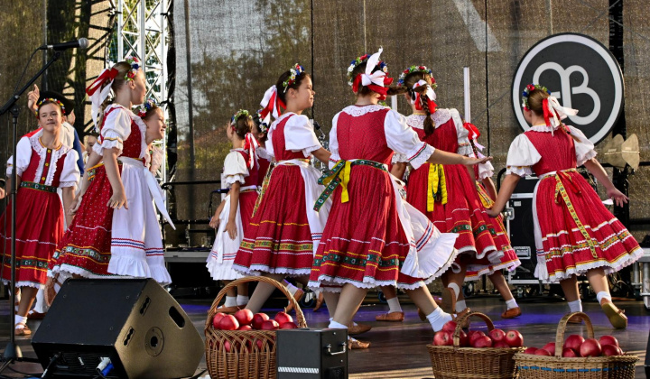 34. fotografia fotogalérie Deň obce Rovinka 2025