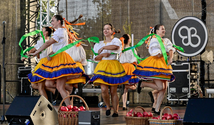 35. fotografia fotogalérie Deň obce Rovinka 2025