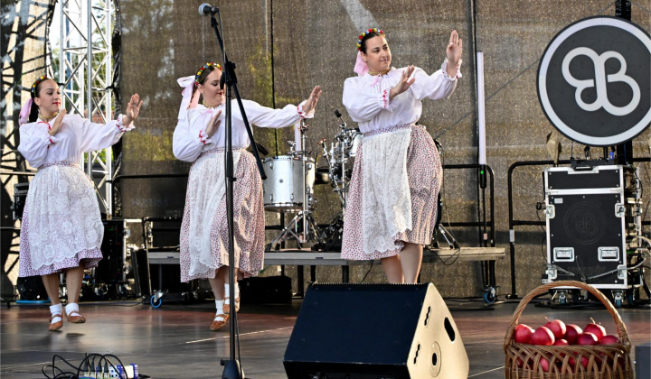 36. fotografia fotogalérie Deň obce Rovinka 2025