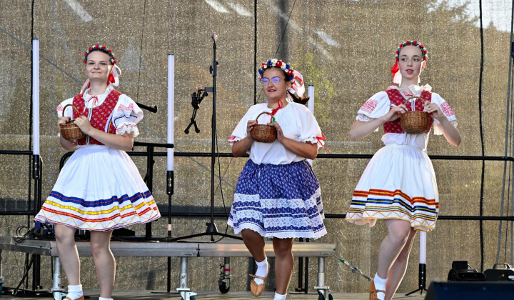 39. fotografia fotogalérie Deň obce Rovinka 2025