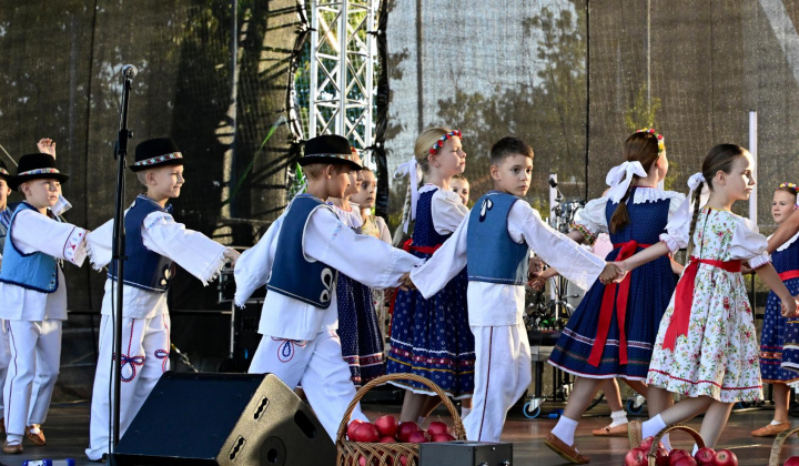 40. fotografia fotogalérie Deň obce Rovinka 2025