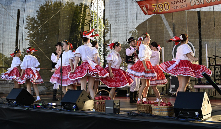 43. fotografia fotogalérie Deň obce Rovinka 2025