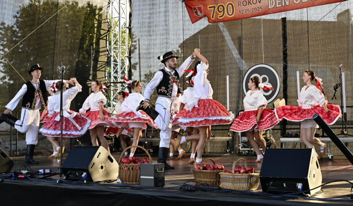 45. fotografia fotogalérie Deň obce Rovinka 2025