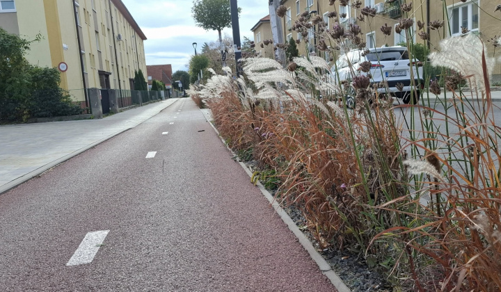 4. fotografia fotogalérie Aktuality / Cyklodoprava: Predstavitelia Rovinky sa boli inšpirovať v Malackách - foto