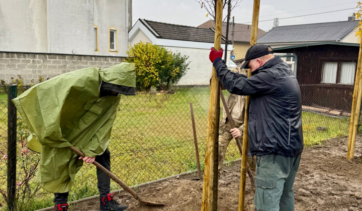 10. fotografia fotogalérie Projekty financované z dotácií / Výsadba zelene v obci Rovinka - foto