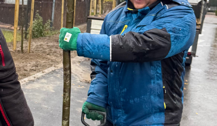 12. fotografia fotogalérie Projekty financované z dotácií / Výsadba zelene v obci Rovinka - foto