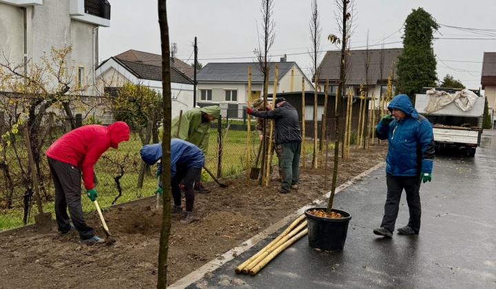 13. fotografia fotogalérie Projekty financované z dotácií / Výsadba zelene v obci Rovinka - foto