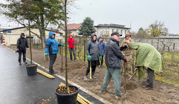 14. fotografia fotogalérie Projekty financované z dotácií / Výsadba zelene v obci Rovinka - foto