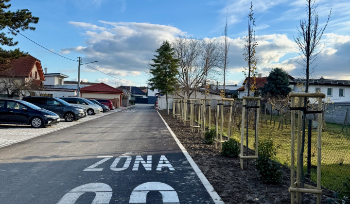 1. fotografia fotogalérie Projekty financované z dotácií / Výsadba zelene v obci Rovinka - foto