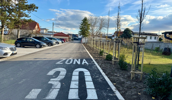 3. fotografia fotogalérie Projekty financované z dotácií / Výsadba zelene v obci Rovinka - foto