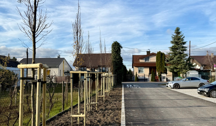 6. fotografia fotogalérie Projekty financované z dotácií / Výsadba zelene v obci Rovinka - foto