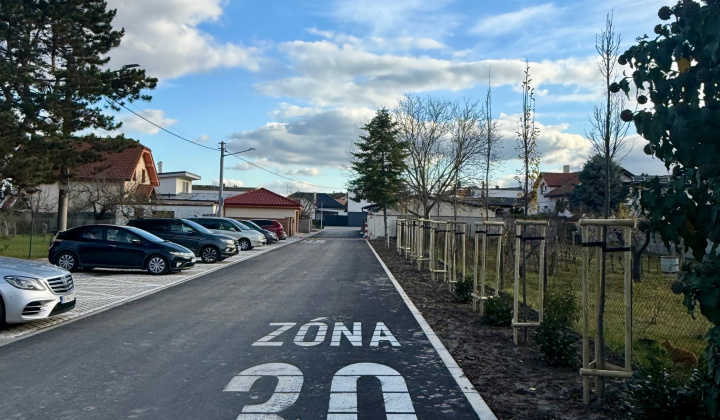 5. fotografia fotogalérie Projekty financované z dotácií / Výsadba zelene v obci Rovinka - foto