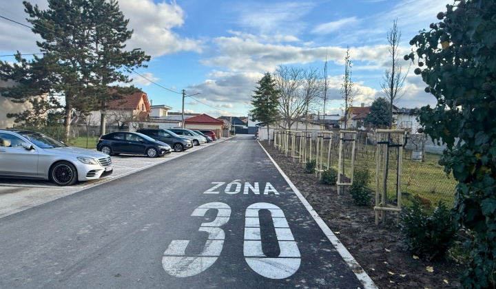 7. fotografia fotogalérie Projekty financované z dotácií / Výsadba zelene v obci Rovinka - foto