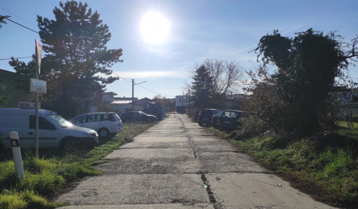 18. fotografia fotogalérie Projekty financované z dotácií / Výsadba zelene v obci Rovinka - foto