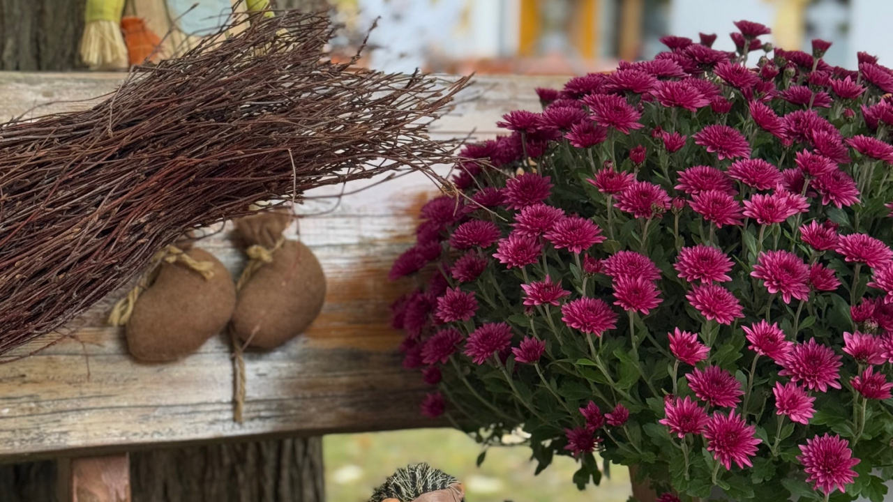 Fotografia fotogalérie Rovinčanské jesenné hodovanie
