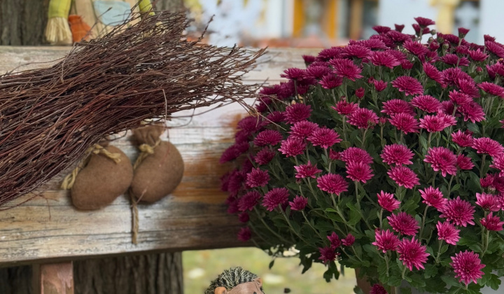 1. fotografia fotogalérie Rovinčanské jesenné hodovanie