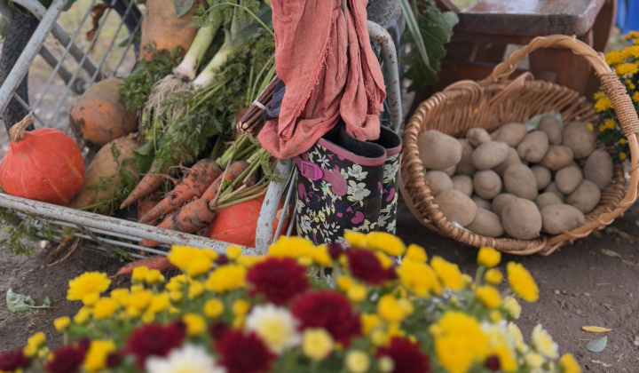 4. fotografia fotogalérie Rovinčanské jesenné hodovanie