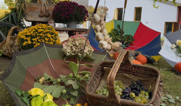 10. fotografia fotogalérie Rovinčanské jesenné hodovanie